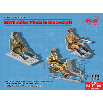 ALLIES PILOTS IN THE COCKPIT